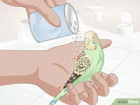 Image titled Get Rid of Mites on Budgies Step 6