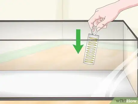 Image titled Get Rid of Mites on Snakes Step 14