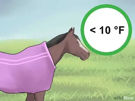 Image titled Make a Horse Blanket Step 12