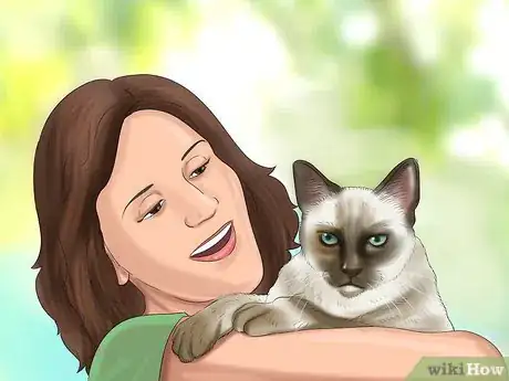 Image titled Decide if a Siamese Cat Is Right for You Step 9