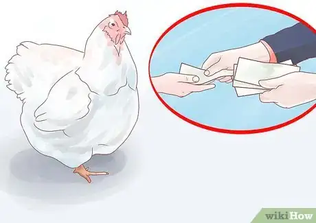 Image titled Feed Chickens Step 17