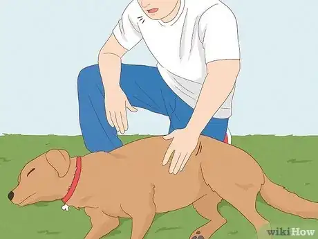 Image titled Perform CPR on a Dog Step 1