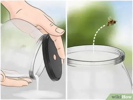 Image titled Get a Bee out of the House Step 14