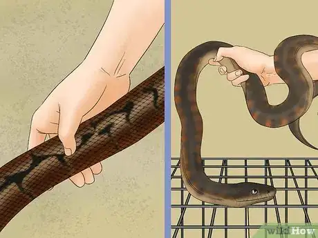 Image titled Remove Duct Tape from a Snake Step 2