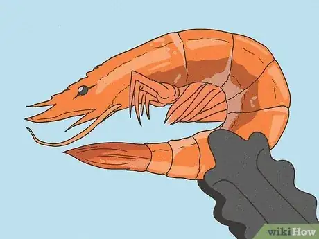 Image titled Tell if Shrimp Is Cooked Step 2