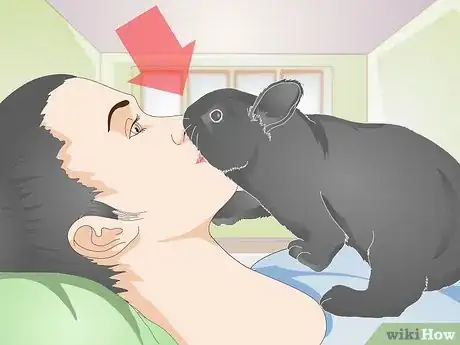 Image titled Earn Your Rabbit's Trust Step 10