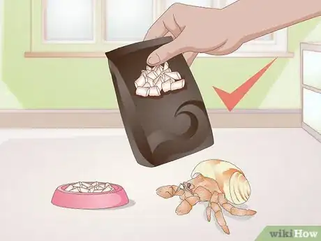 Image titled Feed Hermit Crabs Step 1