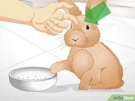 Image titled Tell if Your Rabbit Is Lonely Step 10