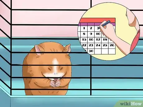 Image titled Make Your Hamster Trust You Step 2