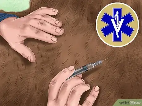 Image titled Give a Horse an Injection Step 5