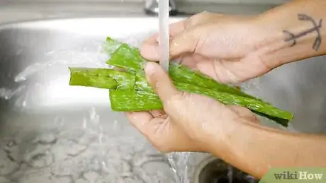 Image titled Make Aloe Vera Juice Step 1