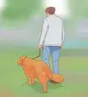 Introduce a Dog to a Dog Park