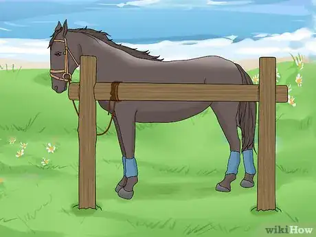 Image titled Care for Your Horse After Riding Step 5