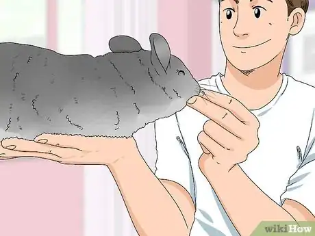 Image titled Deal with a Biting Chinchilla Step 3