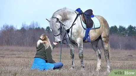 Image titled Get Your Horse to Trust You Step 2