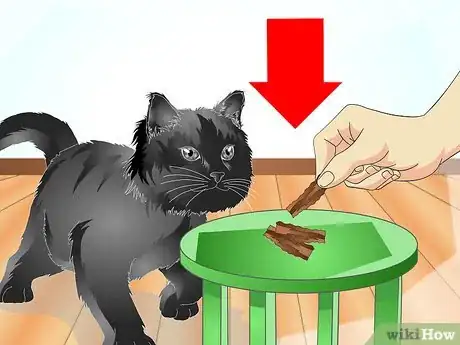 Image titled Teach Your Cat to Talk Step 5