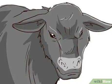 Image titled Butcher Cattle Step 1