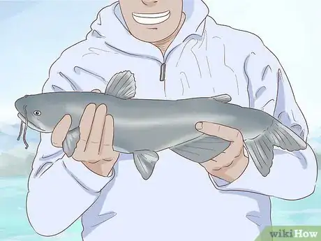 Image titled Hold a Catfish Step 6