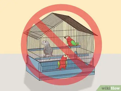 Image titled Treat Psittacosis in African Grey Parrots Step 10