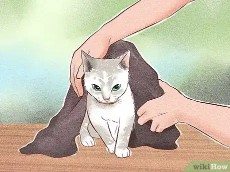 Image titled Tame a Cat Step 13