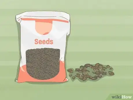 Image titled Germinate Seeds Guaranteed Without Soil or Medium for Garden or Hydroponics Step 1