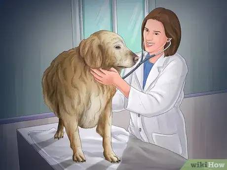 Image titled Help Your Dog After Giving Birth Step 1
