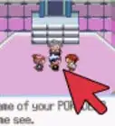 Beat the Elite Four on Ruby, Sapphire, or Emerald