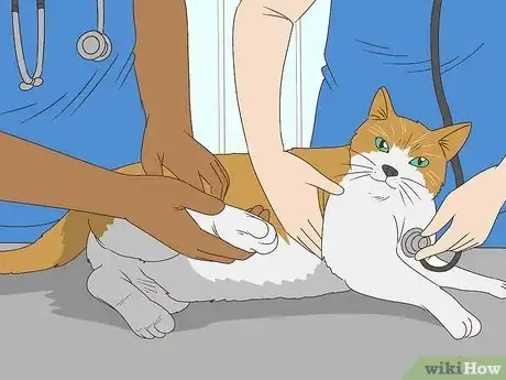 Image titled Take Care of Your Aging Cat Step 12