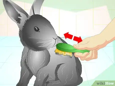 Image titled Trim Your Rabbit's Nails Step 11