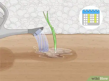 Image titled Regrow Garlic Step 10