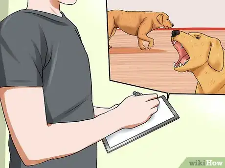 Image titled Report Excessive Dog Barking Step 11