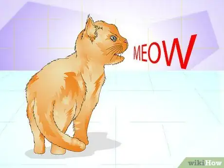 Image titled Tell if a Cat Is Spayed Step 9