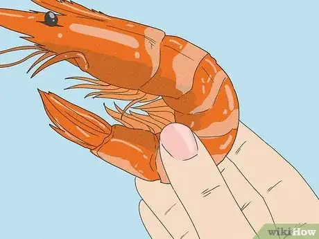 Image titled Tell if Shrimp Is Cooked Step 4
