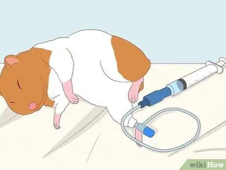 Image titled Treat Tumors in Hamsters Step 4