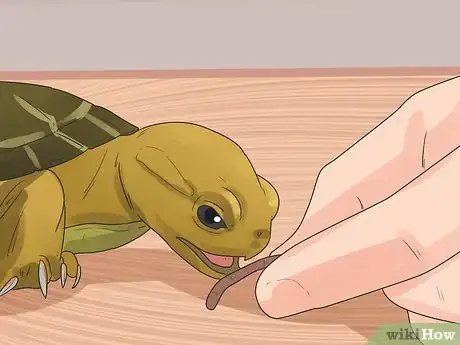 Image titled Take Care of a Land Turtle Step 20