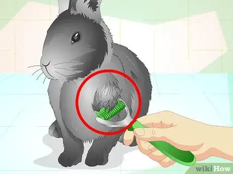 Image titled Trim Your Rabbit's Nails Step 12