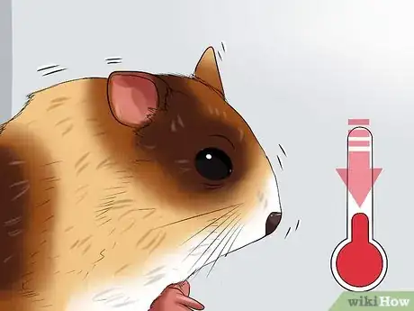 Image titled Care for Your Shocked Hamster Step 1