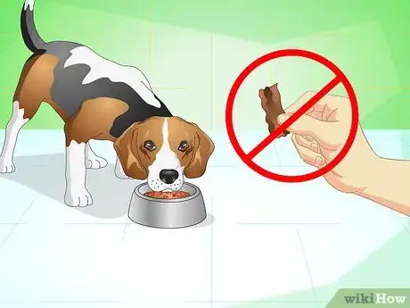 Image titled Get Your Dog to Eat the Dog Food It Does Not Like Step 5