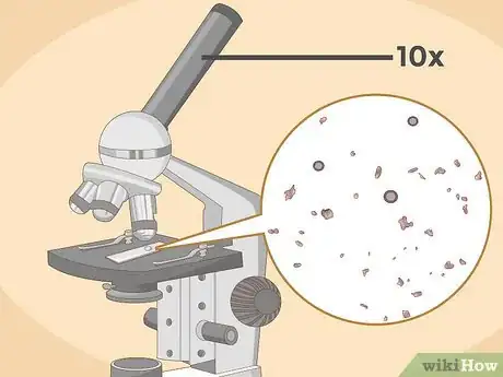 Image titled Use a Microscope Step 15