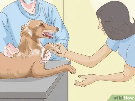 Image titled Moisturize Dog Paws Step 14
