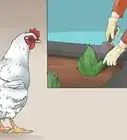 Repel Chickens