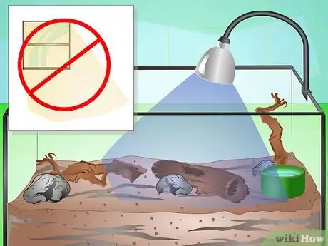 Image titled Make a Millipede Habitat Step 5