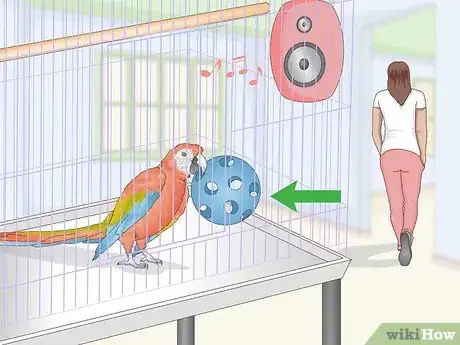 Image titled Stop a Macaw from Feather Picking or Chewing Step 7