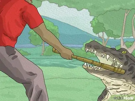 Image titled Dreams About Alligators Step 5