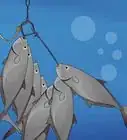 Spear a Fish