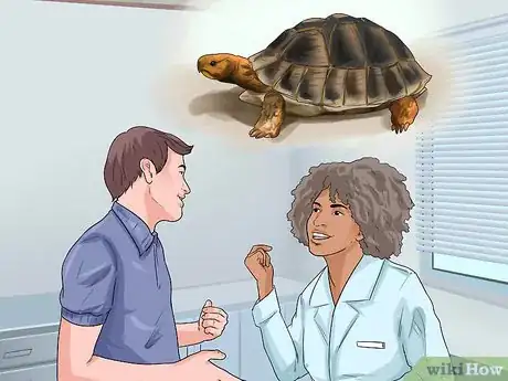 Image titled Sex Tortoises Step 13