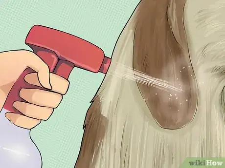 Image titled Make a Natural Flea and Tick Remedy with Apple Cider Vinegar Step 12
