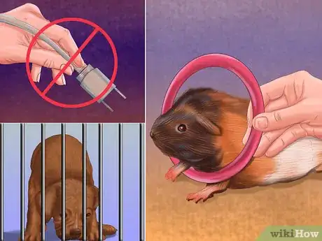 Image titled Help a Guinea Pig Feel Less Anxious Step 7