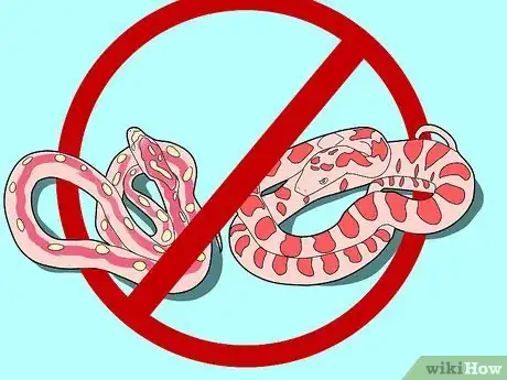 Image titled Care for a Corn Snake Step 6