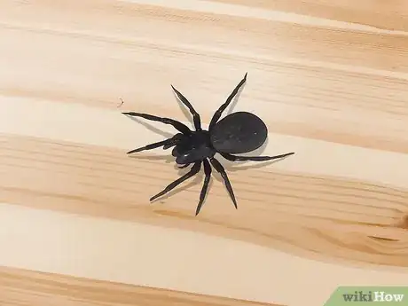 Image titled Kill a Venomous Spider Step 5